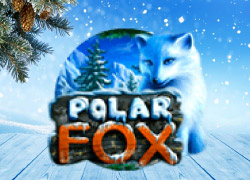 Играть в игровой онлайн автомат Polar Fox со ставками на деньги